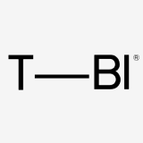The Brand Identity